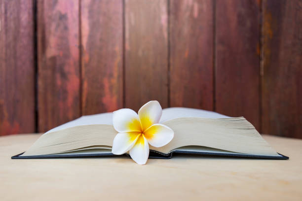 Plumeria flower on open book with space on wood background, flower book, education concept