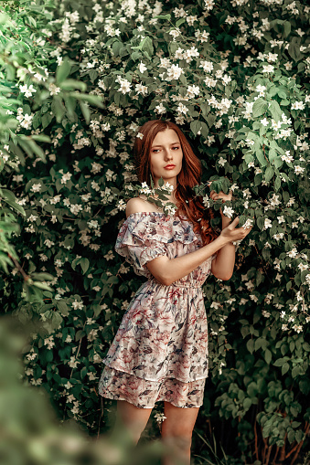 A girl in a light summer dress stands near a bird cherry bush on a hot summer day. She is holding white flowers in her hands.