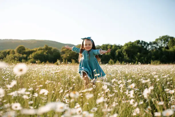 Photo of Cute kid girl in chamomile field outdoor