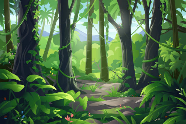 Beautiful Rainforest Vector illustration of a beautiful sun lit jungle/rainforest scene with big trees, bushes, lianas and flowers. amazonia stock illustrations