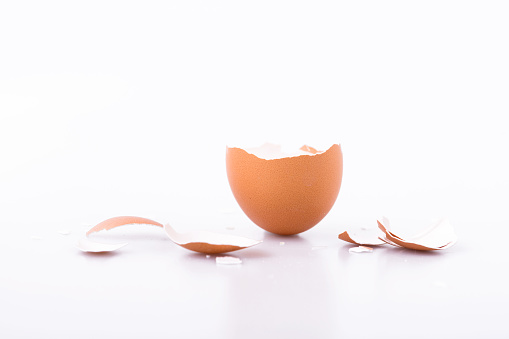 half brown eggshell standing beside rest of small eggshell parts