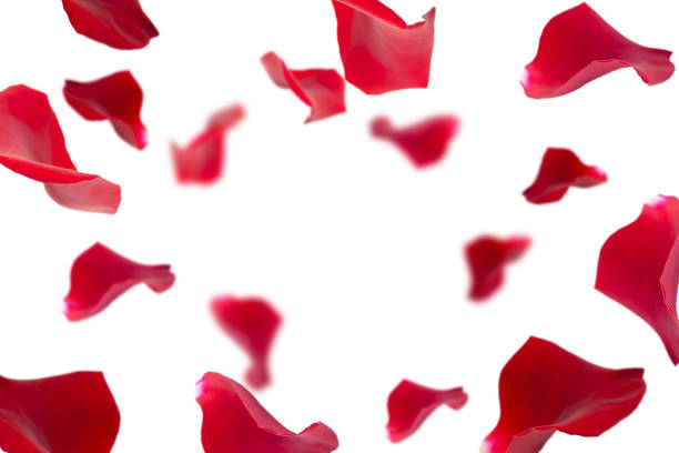 istock Festive background with copy space in the center. 1465911594