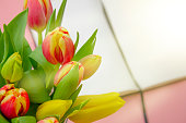 Tulips with an open notebook on a pink background. Festive flower arrangement.