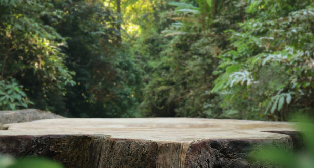 istock wood table top podium in outdoors green lush tropical forest nature background.organic healthy natural product present placement pedestal counter display,website banner cover jungle concept. 1465928043