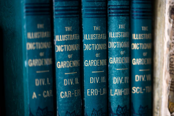 istock Antique 19th century books in bookshelf 1465931304