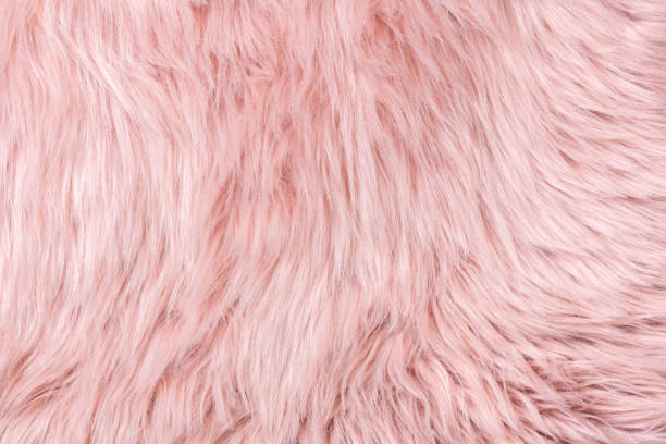 Pink Bird Feathers In Soft And Blur Style, Fluffy Pink Feather Background  Stock Photo, Picture and Royalty Free Image. Image 120548869., Pink  Feathers 