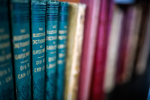 Antique 19th century books in bookshelf