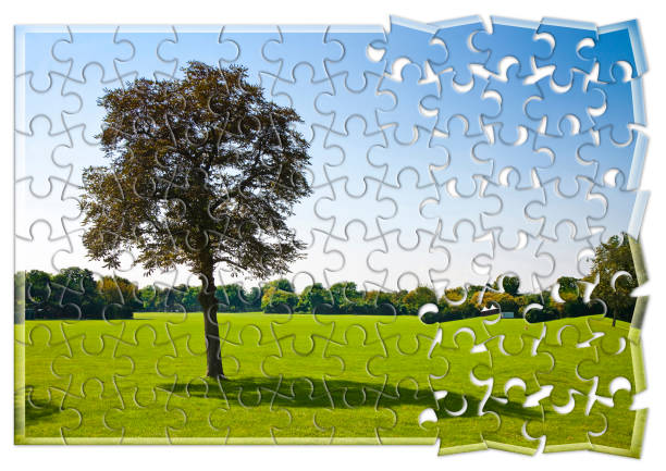 istock Lone tree in a green meadow - environmental conservation concept in jigsaw puzzle shape 1465934107