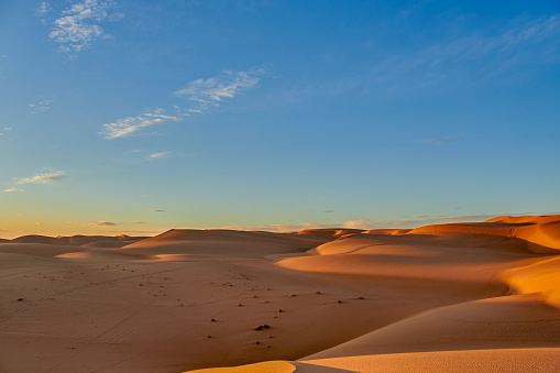 View of yellow Sand dunes and cloudy sky at sunset in the desert of Algeria