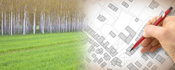 istock Imaginary topographic cadastral map and land parcels of territory with trees on background and buildable vacant land for sale - concept image 1465935978