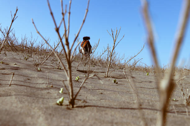 travel in desert
