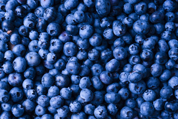 istock Fresh blueberry background. Texture blueberry berries close up. 1465945028
