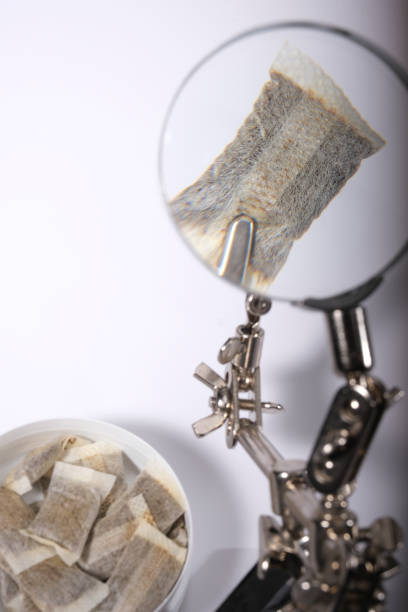 Closeup of white Swedish snus can and portion snuff pouches viewed through a magnifying glass against a white background stock photo
