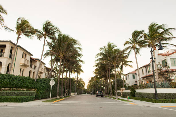 Pastel Sunset Sky & a Breezy Palm Trees Over on Palm Beach, Florida