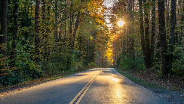 スモーキーマウンテン国立公園の秋の夕日 - great smoky mountains great smoky mountains national park forest appalachian mountains ストックフォトと画像