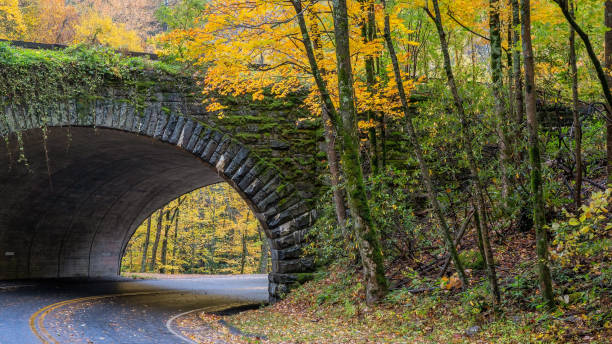 autunno al ponte di pietra del parco nazionale di smoky mountain - tennessee great smoky mountains great smoky mountains national park north carolina foto e immagini stock