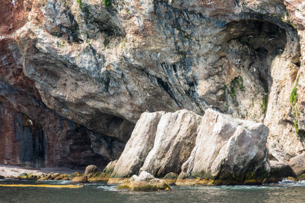 istock Bonaventure Island National Park 1465962431