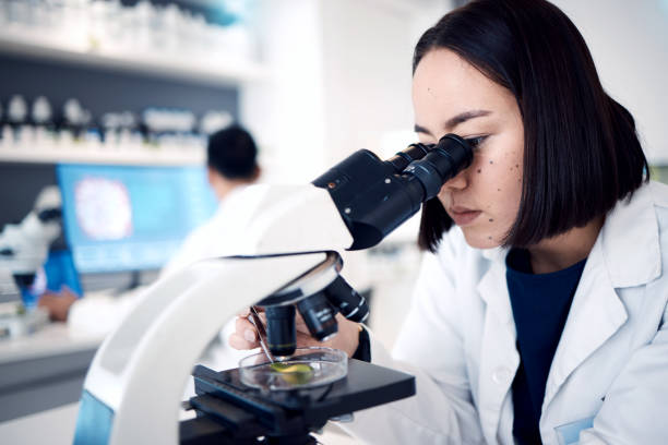 istock Laboratory, microscope and medical science analysis, research innovation and biotechnology scientist. Chemistry, healthcare engineer working and microbiology testing or forensic experiment in lab 1465969232