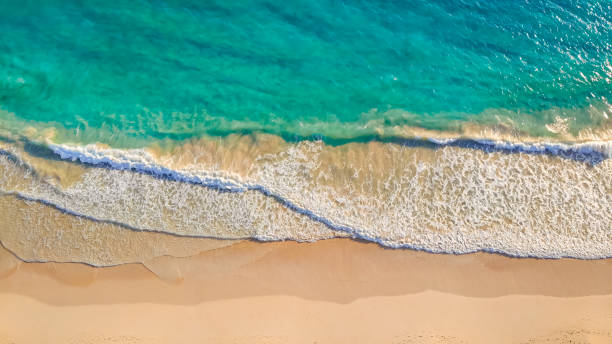 istock Top view of ocean coastline with sandy beach 1465969580