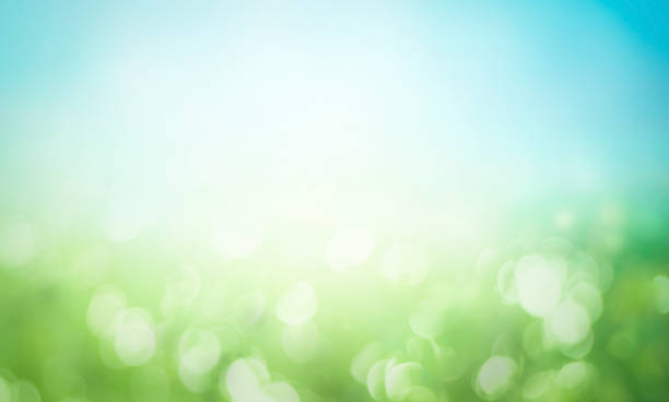 istock Abstract blur beautiful green nature and blue sky white clouds wallpaper background 1465977232
