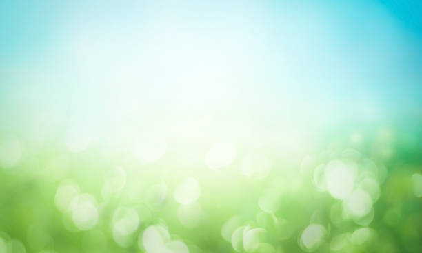 Abstract blur beautiful green nature and blue sky white clouds wallpaper background stock photo