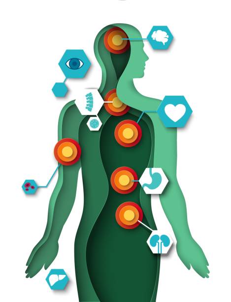 illustrations, cliparts, dessins animés et icônes de problèmes d’organes humains icône de vecteur de papier découpé - système interne humain