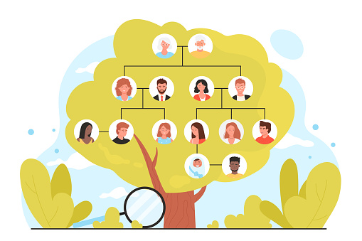 Genealogy, infographic family tree vector illustration. Cartoon green tree with portraits icons of four generations of relatives on branches, magnifying glass to study history and ancestry for reunion