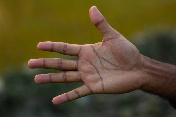 istock This is a human hand and the background is blurred 1465993796