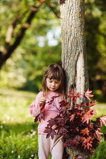 child embracing tree trunk. environment protecting.