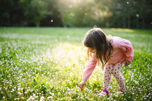Children's Day.  little girl in a blooming spring garden.