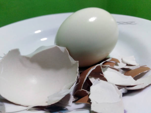 istock Boiled egg and eggshell on a white plate. Healthy nutritional food. 1466014309