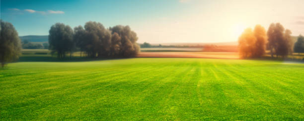 istock A beautiful country evening landscape in a wide format. 1466019206