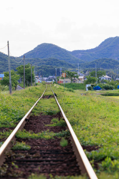 istock Railroad in early summer 