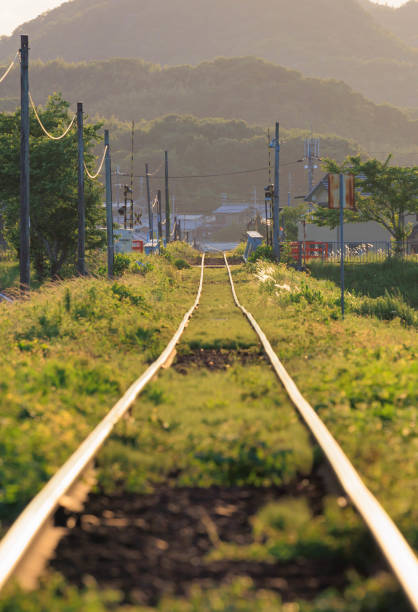 istock Railroad in early summer 