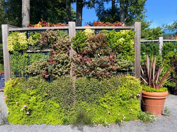 istock Garden Wall at Coastal Maine Botanical Gardens 1466038942