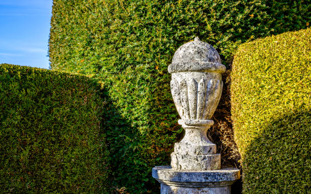 istock beautiful old ornament at a cemetery 1466047295