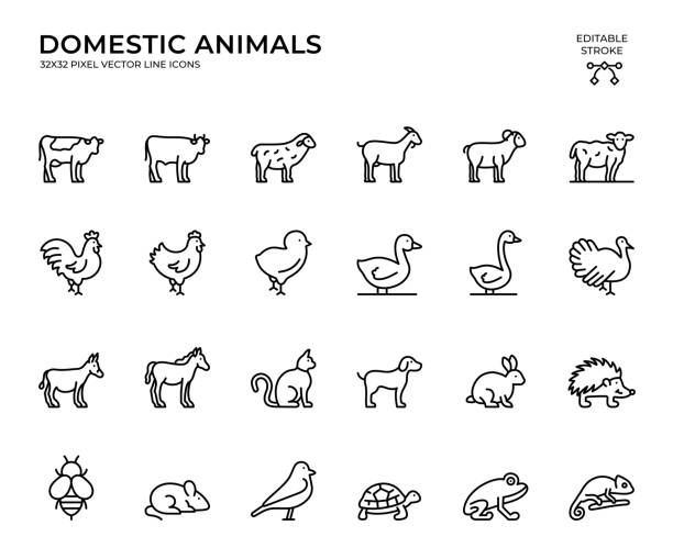 가축의 편집 가능한 스트로크 벡터 아이콘 세트 - goat animal black domestic animals stock illustrations