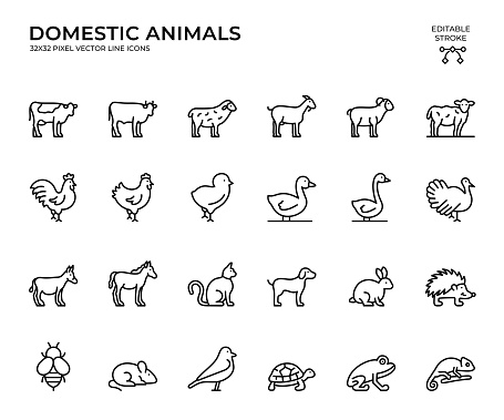 Black color, 32x32, pixel perfect, Editable Stroke. This icon set consists of Domestic Animals, Cow, Sheep, Goat, Lamb, Cock, Chicken, Duck, Goose, Turkey, Donkey, Horse, Cat, Dog, Rabbit, Hedgehog, Bee, Hamster, Bird, Turtle, Frog, Iguana and so on