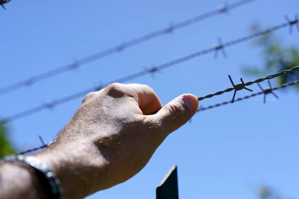 istock Hand on a metal fence. Border, prison, illegal migration concept. Selected focus 1466056560