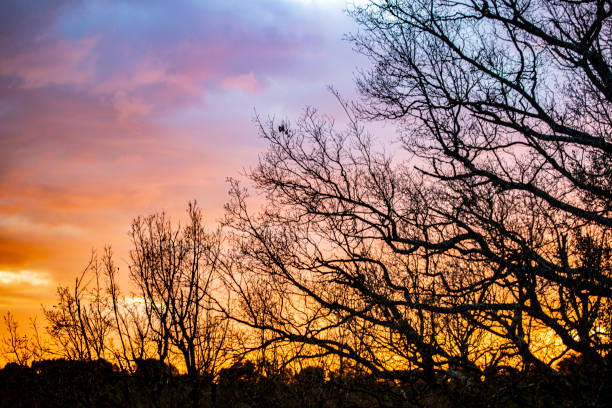 Red clouds at sunrise in February
