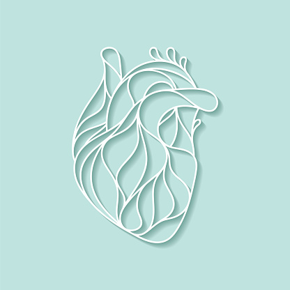 An abstract, artistic depiction of a human heart. EPS10 vector illustration, global colors, easy to modify.