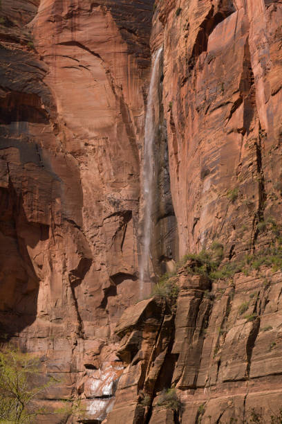 istock Zion National Park 1466060670