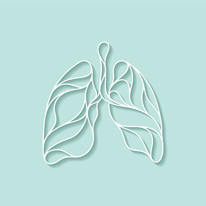 An abstract, artistic depiction of human lungs. EPS10 vector illustration, global colors, easy to modify.