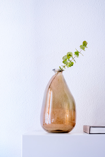 Eucalyptus leaves in a vase