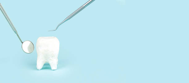 istock White molar on blue background. Big tooth model and different tools for dental care on blue background. Professional Dental concept. 1466073563