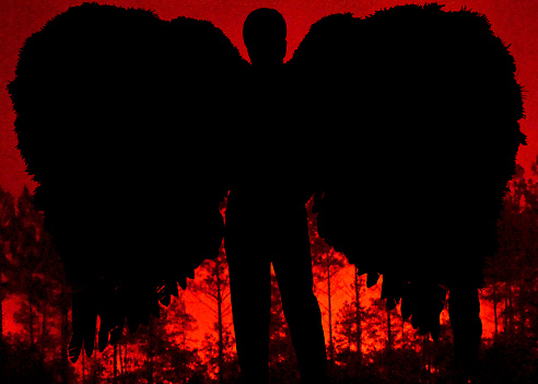 illustration of angel watching a forest fire