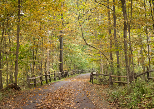 A fall scene on the Perkiomen Trail in Montgomery County, Pennsylvania. The Perkiomen Trail is a 19 mile trail along the Perkiomen Creek enjoyed by bicyclists , walkers , fishermen and nature  lovers.