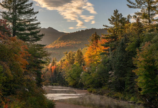 ホワイトマウンテン国有林のベアノッチロードの朝の秋の小川-ニューハンプシャー州