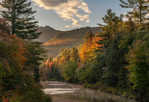 Morning Autumn stream on Bear Notch Road in the White Mountain national Forest - New Hampshire