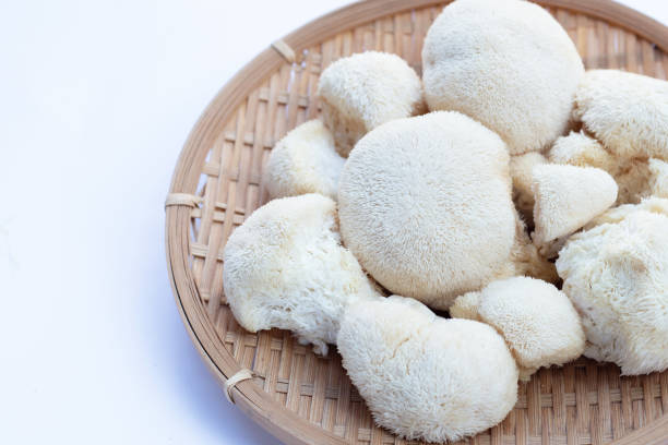 istock Fresh lion's mane mushroom on white background. 1466100267